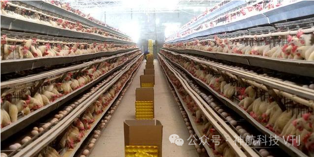 富硒产品有什么危害吗(富硒的危害)-硒宝网