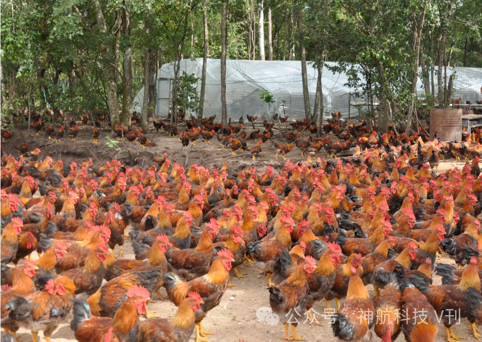 富硒产品有什么危害吗(富硒的危害)-硒宝网