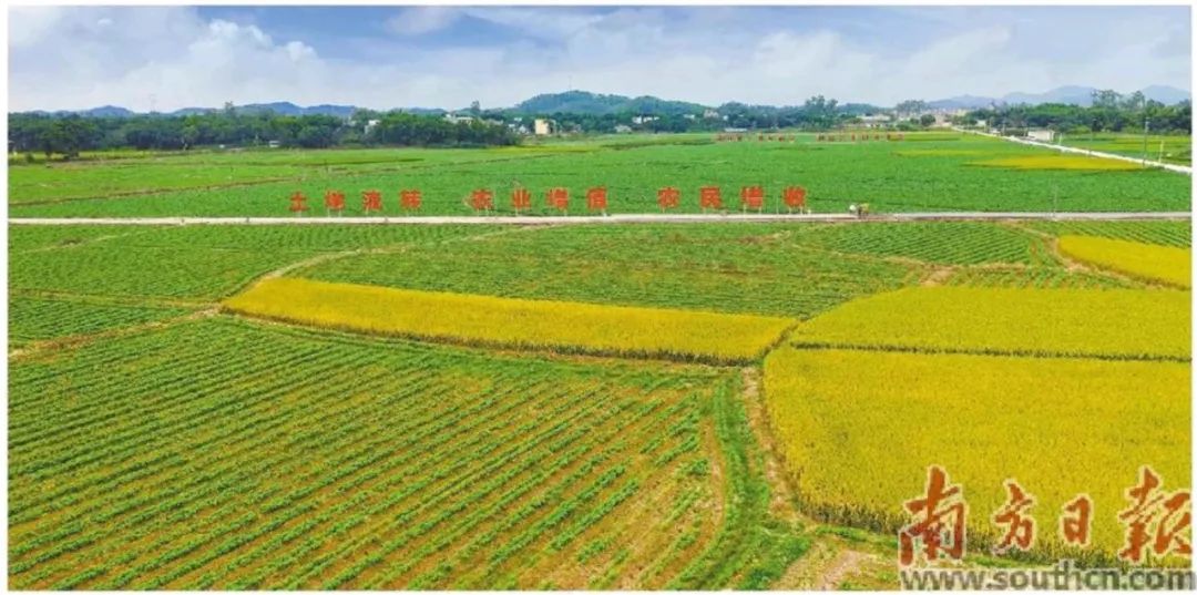 2019富硒农产品展(富硒农产品销售平台)-硒宝网