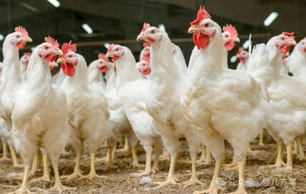 富硒产品对身体有害吗(富硒产品对人体有什么好处)-硒宝网