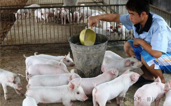 富硒产品对身体有害吗(富硒产品对人体有什么好处)-硒宝网