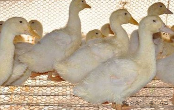 富硒产品对身体有害吗(富硒产品对人体有什么好处)-硒宝网