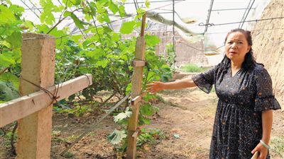 宁夏石嘴山富硒农产品(石嘴山富硒庄园)-硒宝网