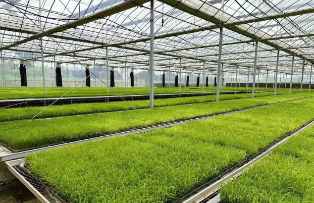 富硒产品哪里有收购的（收购富硒产品有什么好处）-硒宝网