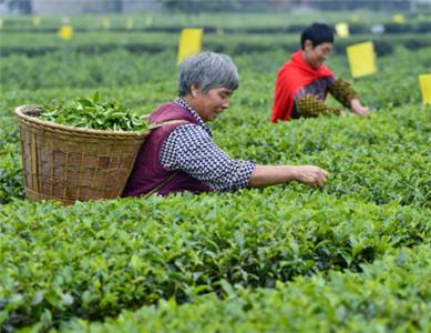 恩施含富硒产品有哪些（恩施富含硒的食物）-硒宝网
