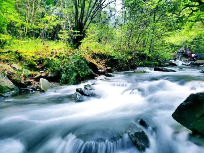 安康富硒产品销售情况(安康销售富硒情况产品的公司)-硒宝网