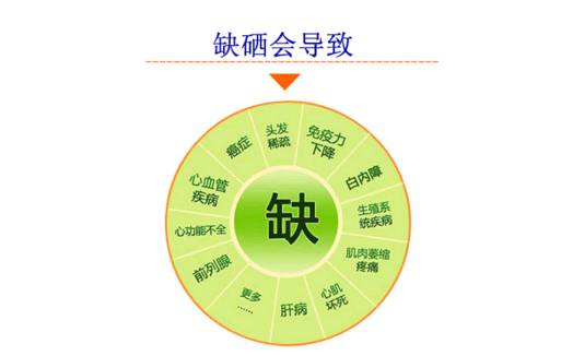 富硒的产品有什么功效(功效富硒产品有什么作用)-硒宝网