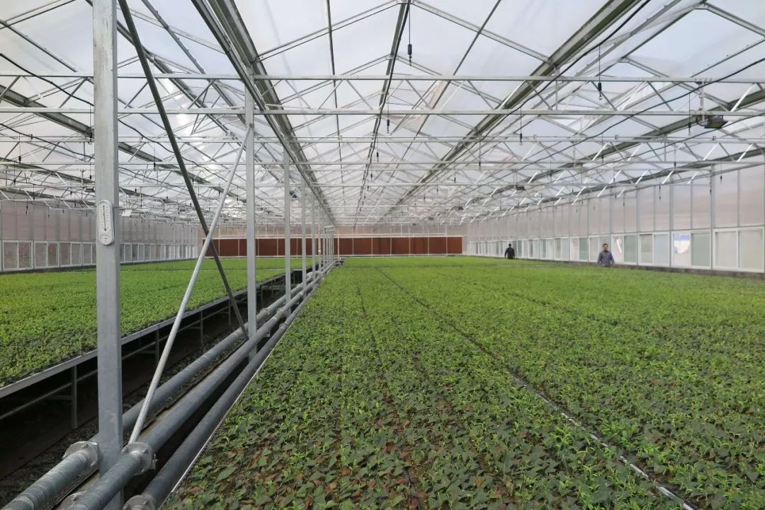 安康对富硒产品的发展(安康富硒发展产品有哪些)-硒宝网