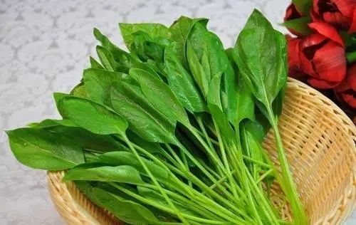 补铁需要吃什么（补铁需要吃药吗）-硒宝网