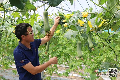 于都县农产品富硒产品（于都富硒蔬菜产业园）-硒宝网