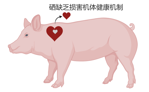 北京富硒产品检测中心（北京富硒贸易有限公司）-硒宝网