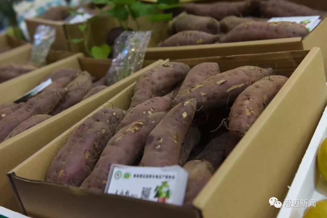 农展馆富硒产品展有吗(富硒展览会)-硒宝网