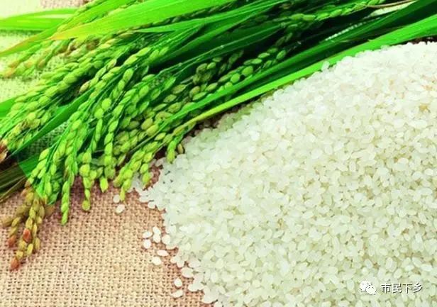 安康六大富硒产品揭晓（安康揭晓富硒产品是真的吗）-硒宝网