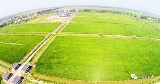 安康六大富硒产品揭晓（安康揭晓富硒产品是真的吗）-硒宝网