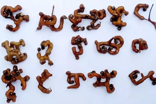 富硒黄花菜的产品定位（黄花菜的优势）-硒宝网