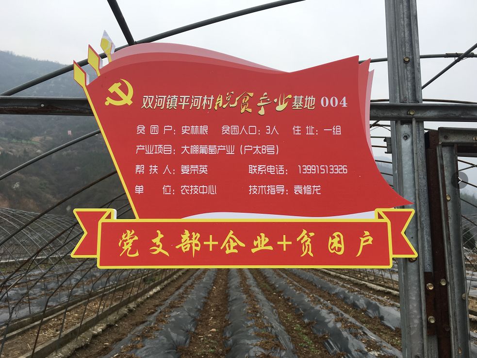 富硒黄花菜的产品定位（黄花菜的优势）-硒宝网