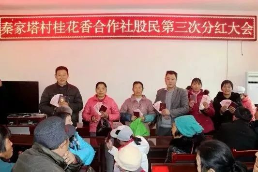 富硒黄花菜的产品定位（黄花菜的优势）-硒宝网