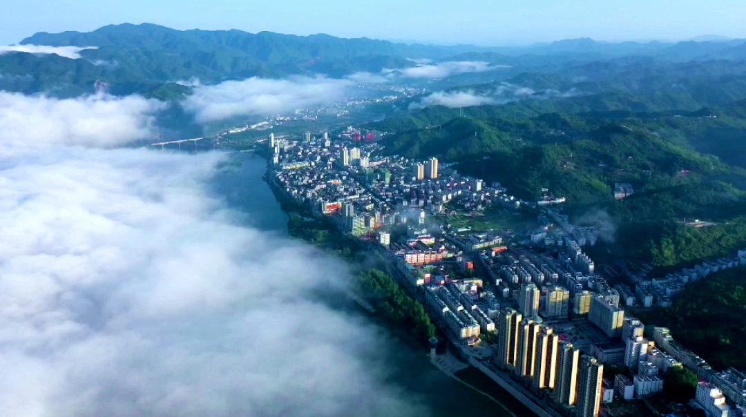 富硒黄花菜的产品定位（黄花菜产品介绍）-硒宝网