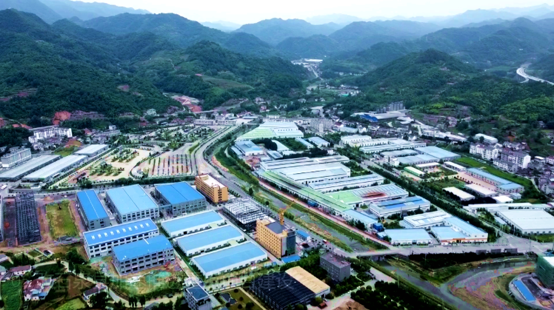 富硒黄花菜的产品定位（黄花菜产品介绍）-硒宝网