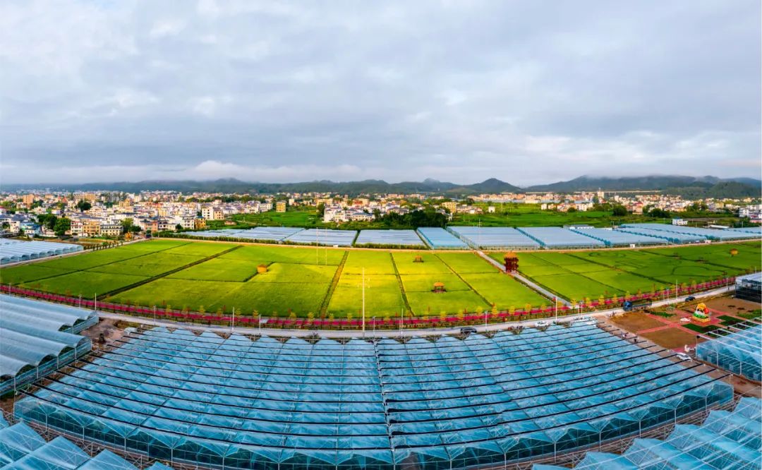 于都县红色富硒产品店(于都富硒大米)-硒宝网