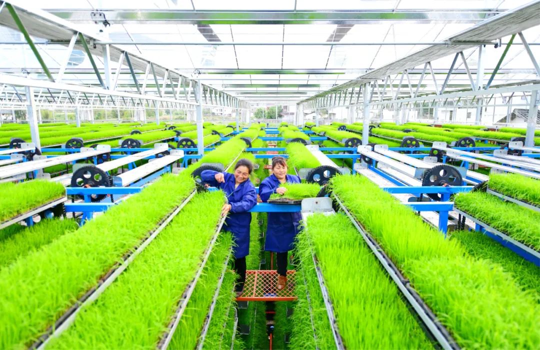 于都县红色富硒产品店(于都富硒大米)-硒宝网