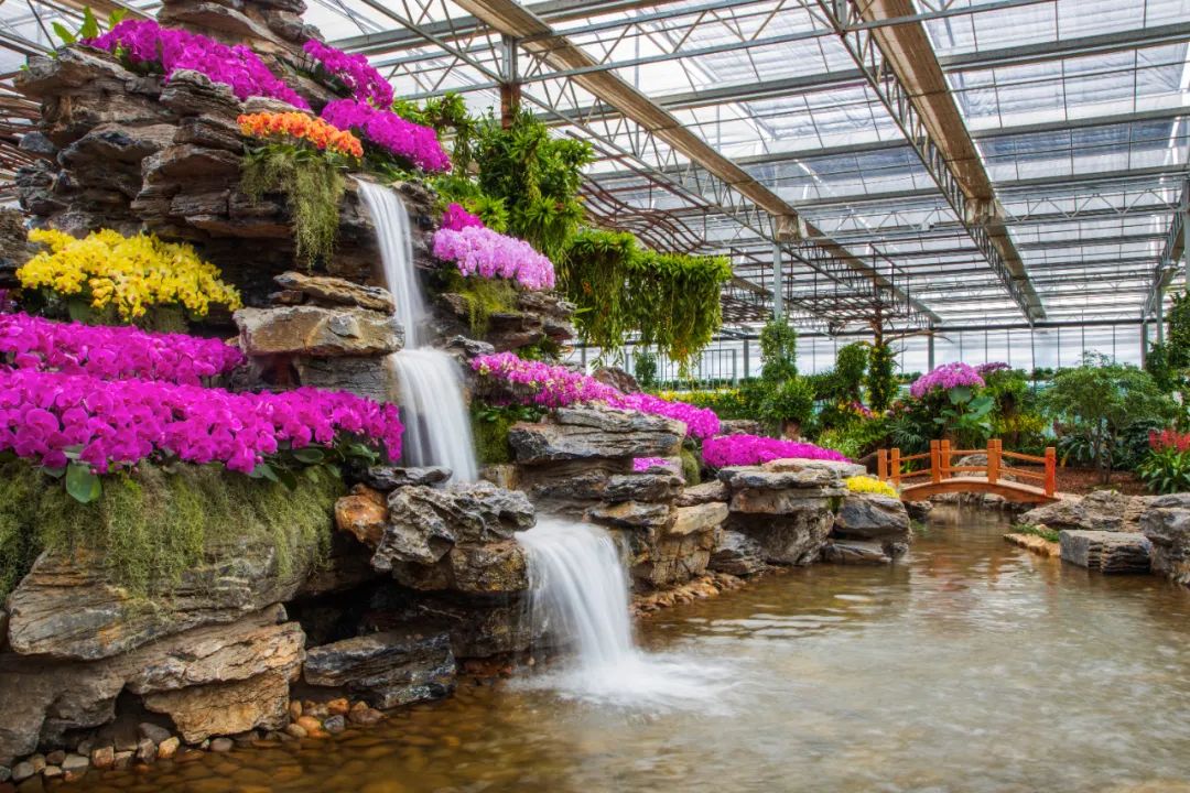 于都县红色富硒产品店(于都富硒大米)-硒宝网