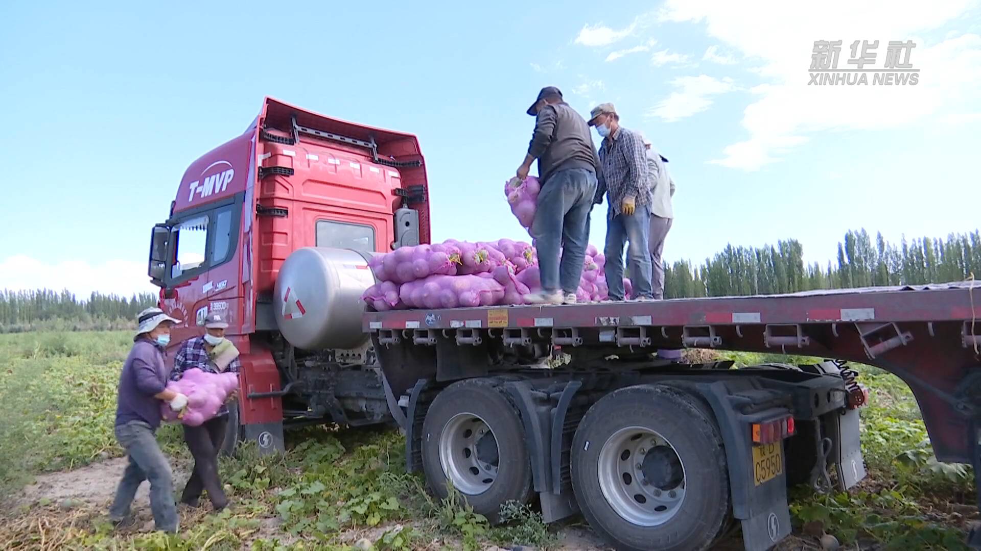 富硒电商产品有限公司（富硒食品公司）-硒宝网