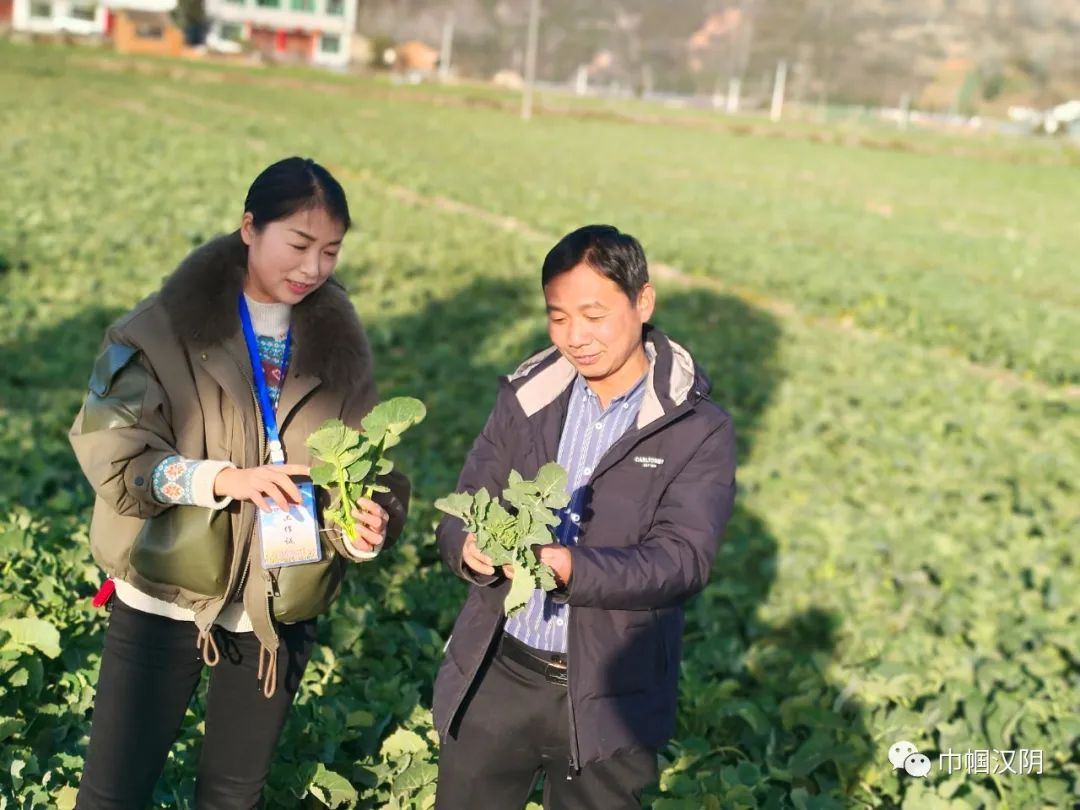 安康六大富硒产品揭晓（安康富硒产品介绍）-硒宝网