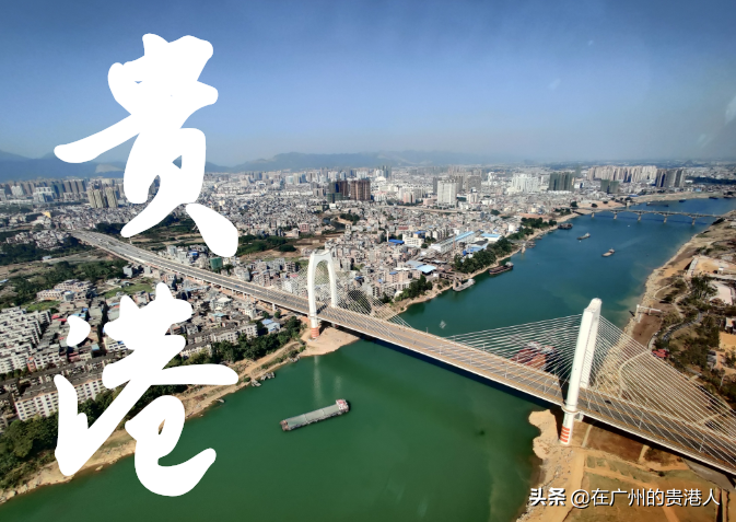 中国十大富硒产品青鸟(青鸟富硒产品中国有卖吗)-硒宝网