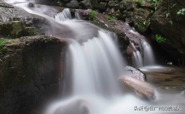 中国十大富硒产品青鸟(青鸟富硒产品中国有卖吗)-硒宝网