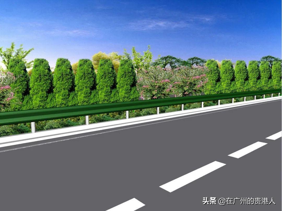 中国十大富硒产品青鸟(青鸟富硒产品中国有卖吗)-硒宝网