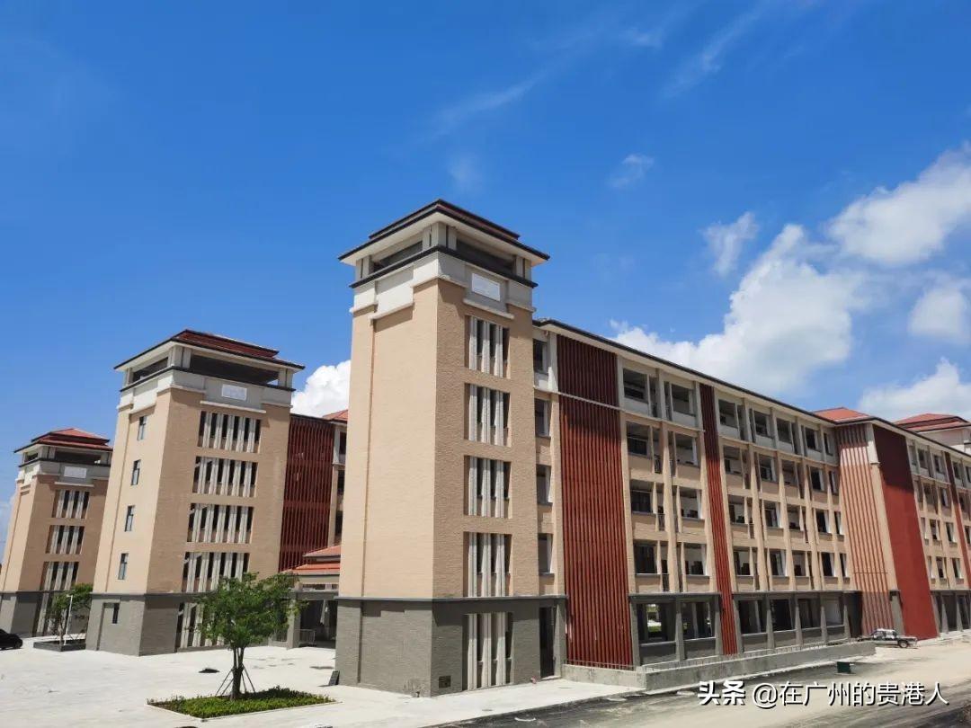 中国十大富硒产品青鸟(青鸟富硒产品中国有卖吗)-硒宝网