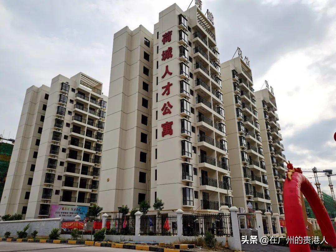 中国十大富硒产品青鸟(青鸟富硒产品中国有卖吗)-硒宝网