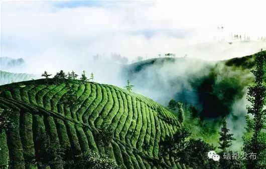 恩施市新塘乡富硒产品(恩施的富硒产品价格都多少钱)-硒宝网