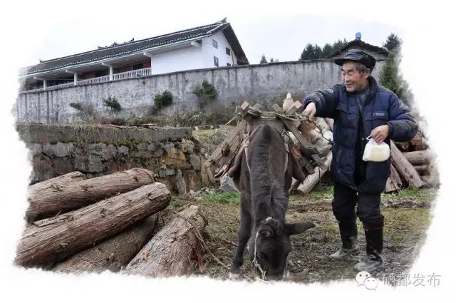 恩施市新塘乡富硒产品(恩施的富硒产品价格都多少钱)-硒宝网