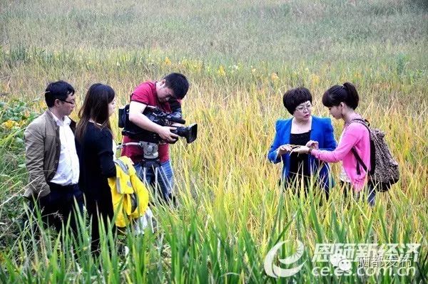 恩施市新塘乡富硒产品(恩施的富硒产品价格都多少钱)-硒宝网