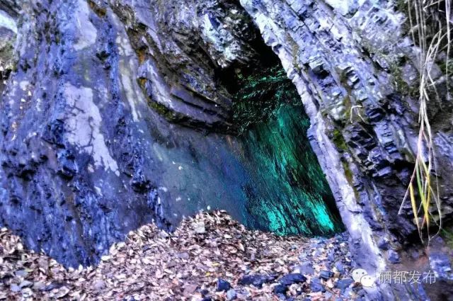 恩施市新塘乡富硒产品(恩施的富硒产品价格都多少钱)-硒宝网