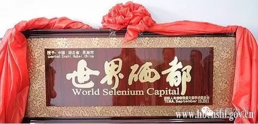 恩施市新塘乡富硒产品(恩施的富硒产品价格都多少钱)-硒宝网