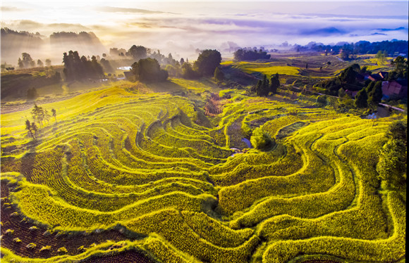 富硒农产品基地有哪些（农基地富硒产品有哪些品牌）-硒宝网