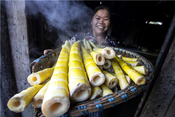 富硒农产品基地有哪些（农基地富硒产品有哪些品牌）-硒宝网