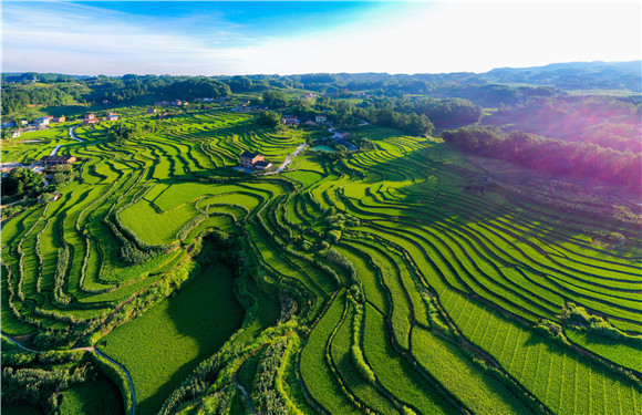 富硒农产品基地有哪些（农基地富硒产品有哪些品牌）-硒宝网