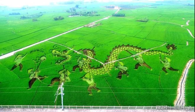 天门富硒农产品有哪些（富硒农业）-硒宝网