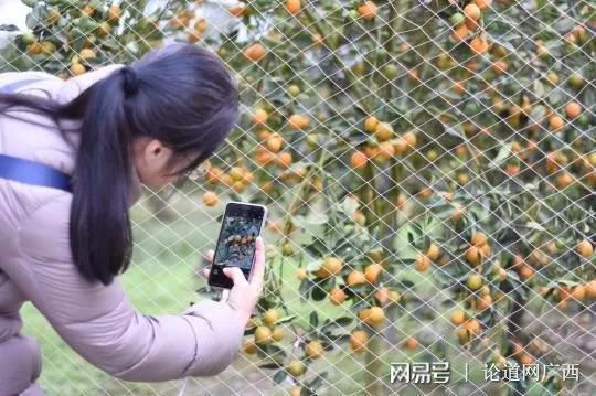 天门富硒农产品有哪些（富硒农业）-硒宝网