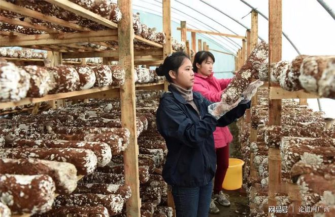 天门富硒农产品有哪些（富硒农业）-硒宝网