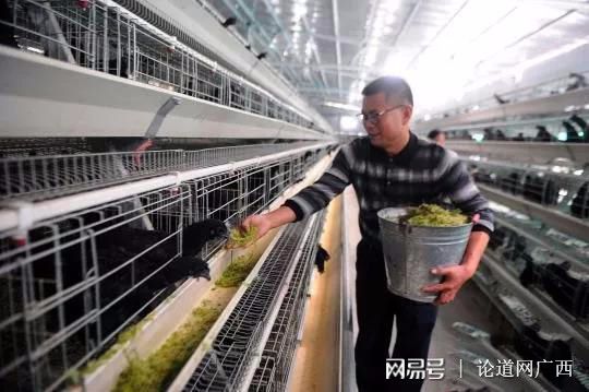 天门富硒农产品有哪些（富硒农业）-硒宝网