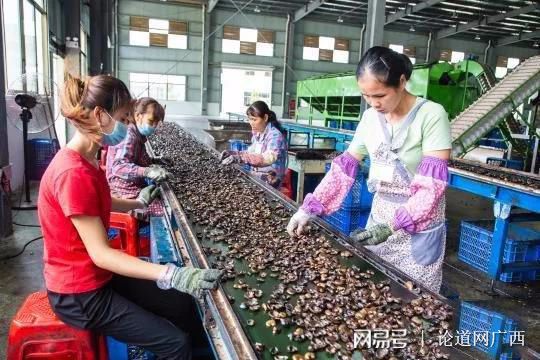 天门富硒农产品有哪些（富硒农业）-硒宝网