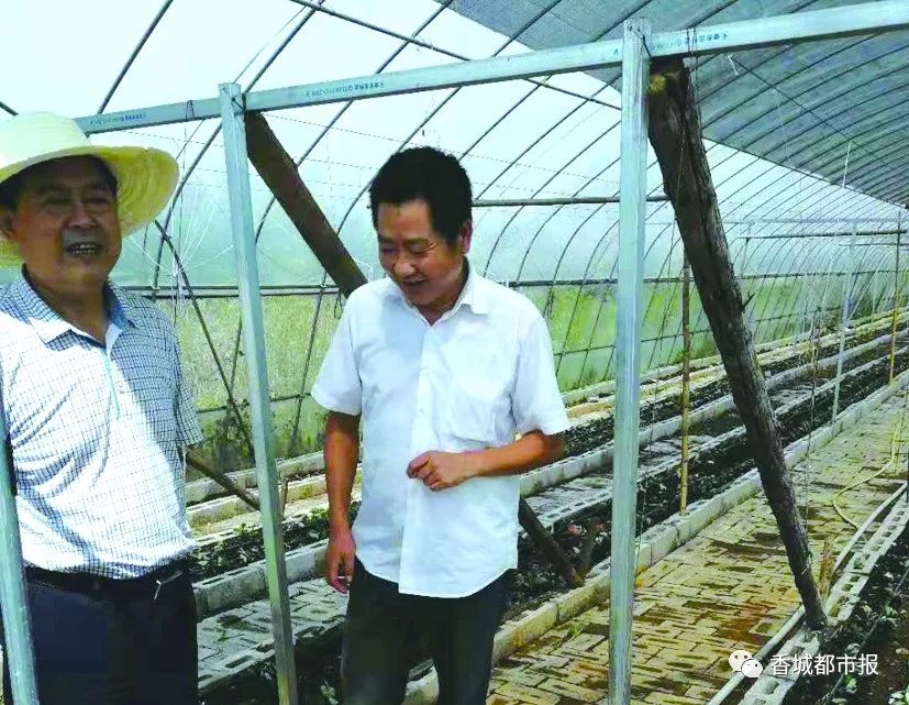 化验富硒农产品的单位（富硒检测报告）-硒宝网