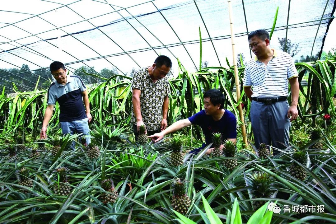 化验富硒农产品的单位（富硒检测报告）-硒宝网