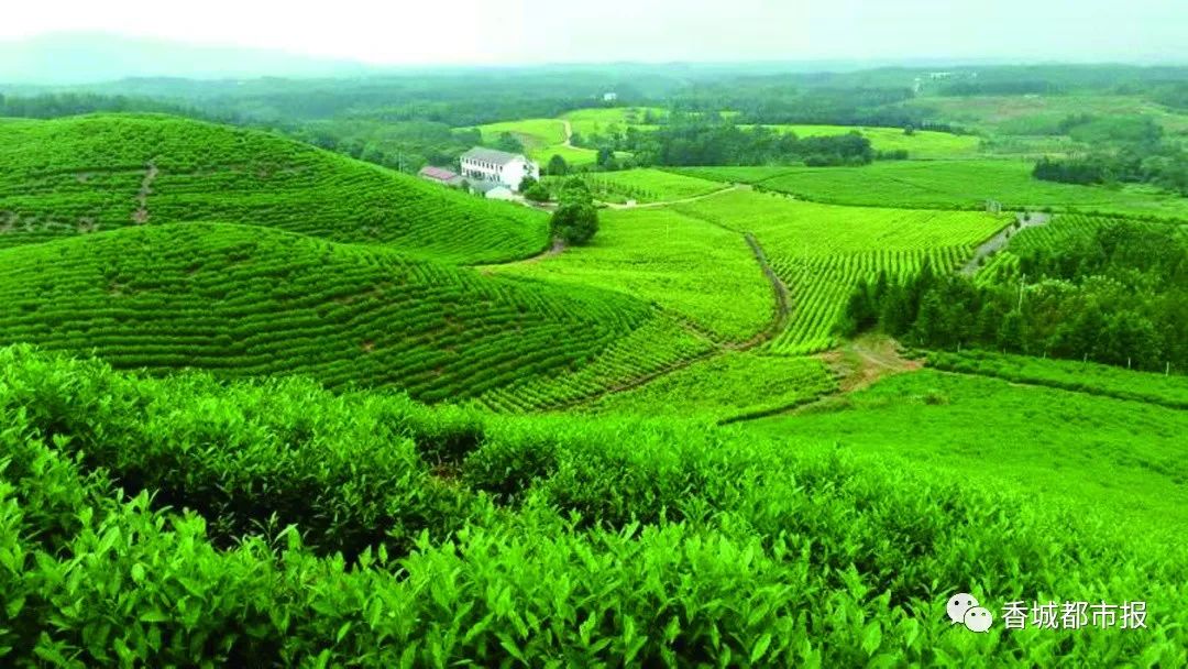 化验富硒农产品的单位（富硒检测报告）-硒宝网