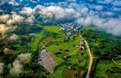 英山富硒产品怎么样呀（富硒厂家）-硒宝网